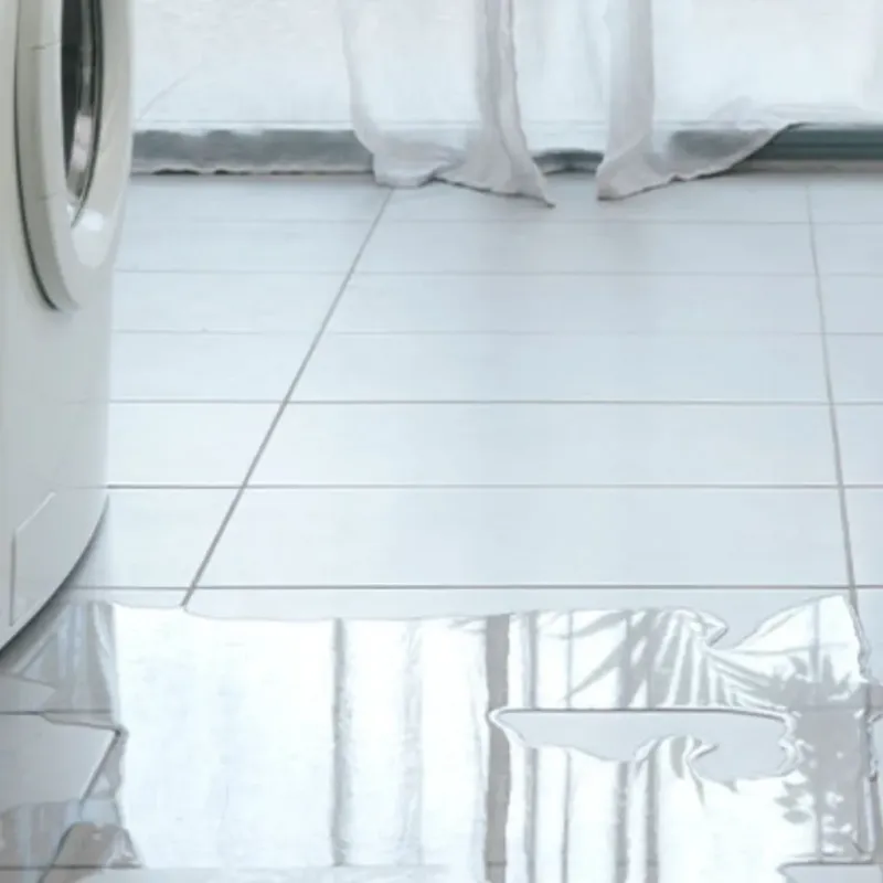 Appliance Leak Cleanup in Tri-Lakes, IN