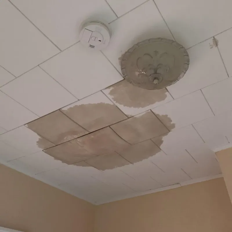 Ceiling Water Damage Repair in Tri-Lakes, IN