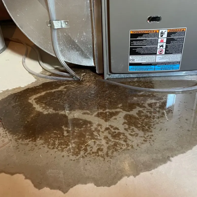 Pipe Burst and Leak Restoration in Tri-Lakes, IN