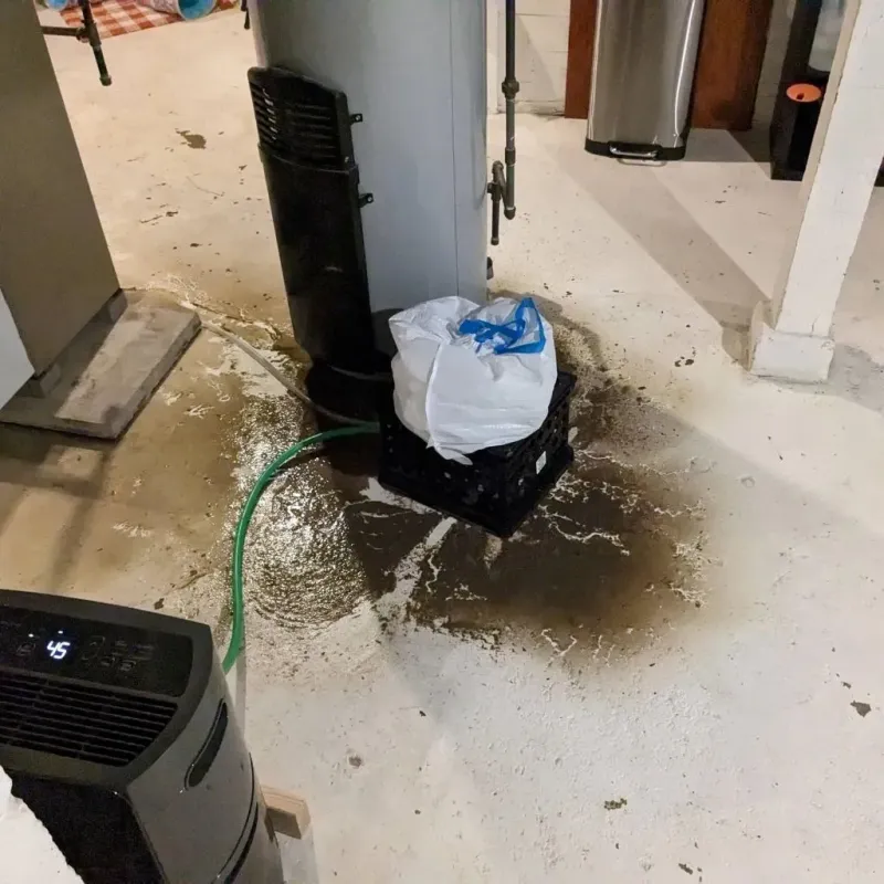 Sewage Backup Cleanup Service in Tri-Lakes, IN